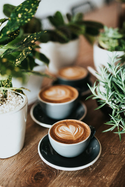 Le café d'été: rituel de terrasse au Petit Champlain de juin à septembre