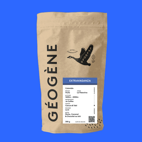 Extravaganza — Café Géogène signature, fond bleu, Colombie Huila lavé