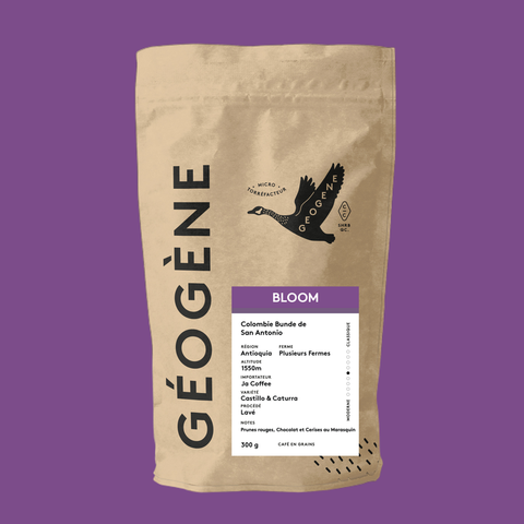 BLOOM — Café de saison Géogène, fond mauve, origine Colombie