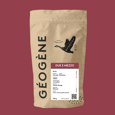 Due E Mezzo — Café Géogène, fond bordeaux, Brésil Cerrado naturel