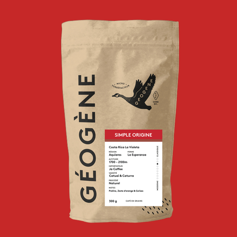 Simple Origine Costa Rica Doga Géogène, fond rouge, Tarrazú Red Honey