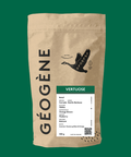 Vertuose — Café Géogène, fond vert, Brésil Cerrado naturel Peaberry