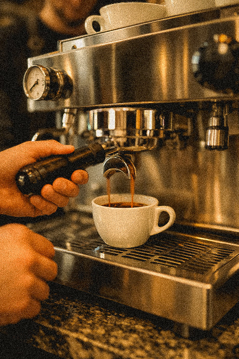 Fondamentaux - Carrera Barista Program